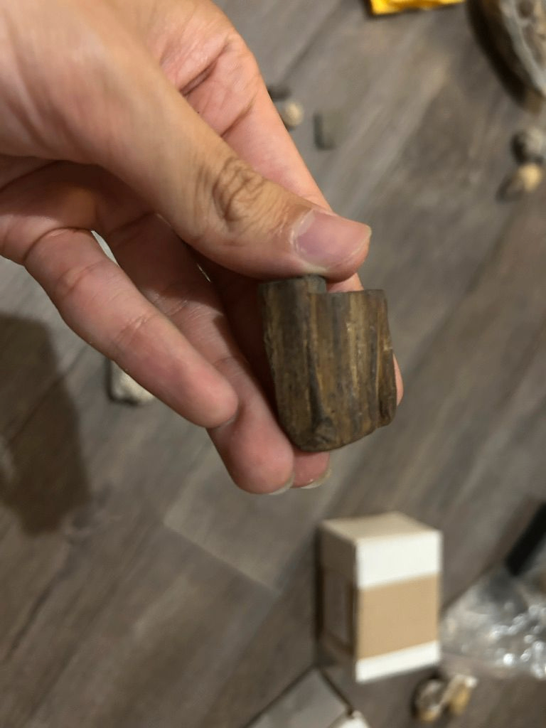 Bois pétrifié