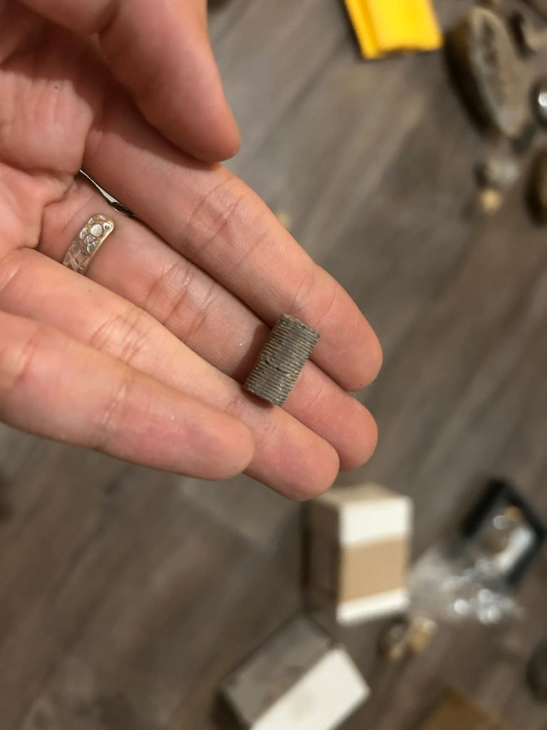 Segment de tige de crinoïde