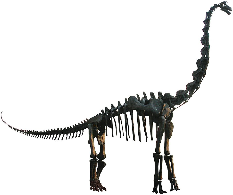Le brachiosaure