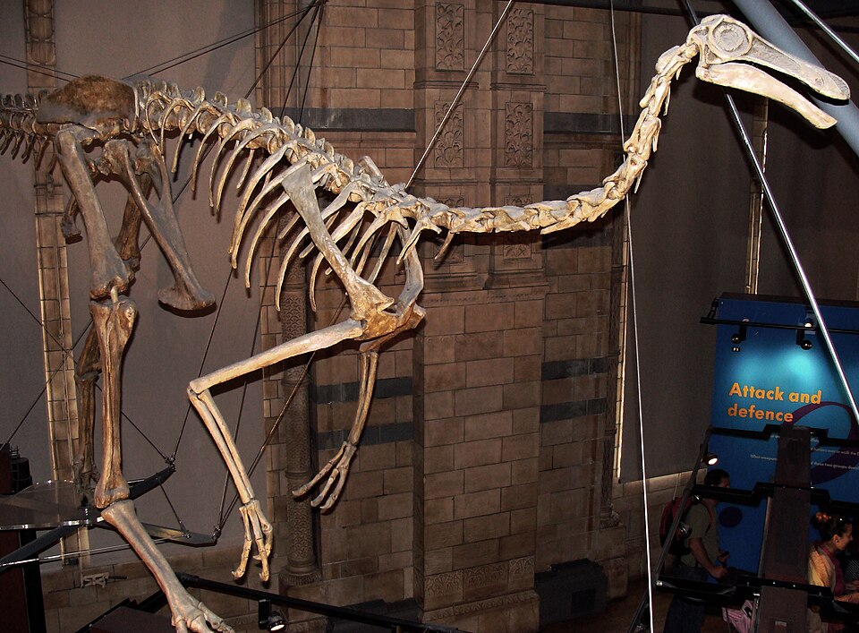 Gallimimus